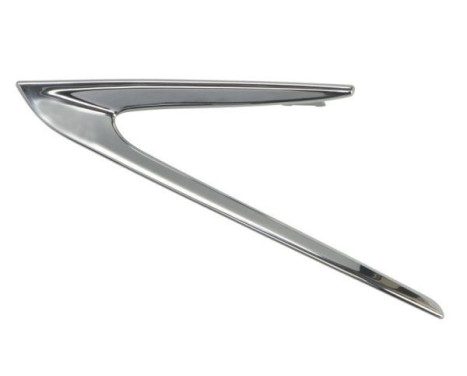 Decorative/protection panel, bumper