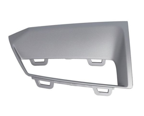 Decorative/protection panel, bumper