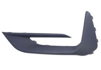 Decorative/protection panel, bumper
