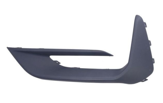 Decorative/protection panel, bumper