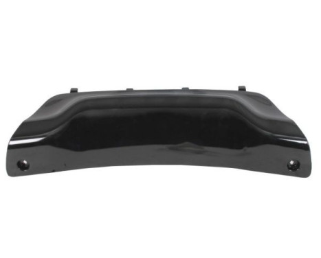 Decorative/protection panel, bumper