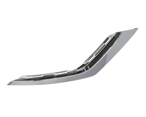 Decorative/protection panel, bumper