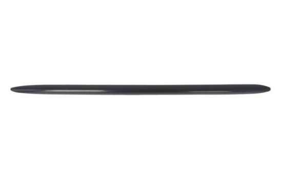 Decorative/protection panel, bumper