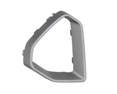 Decorative/protection panel, bumper