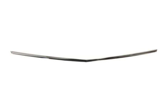 Decorative/protection panel, bumper