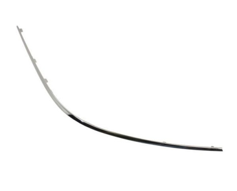 Decorative/protection panel, bumper
