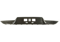 Decorative/protection panel, bumper
