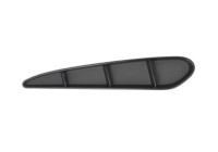 Decorative/protection panel, bumper