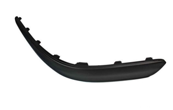 Decorative/protection panel, bumper