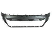 Decorative/protection panel, bumper