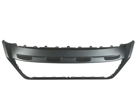 Decorative/protection panel, bumper