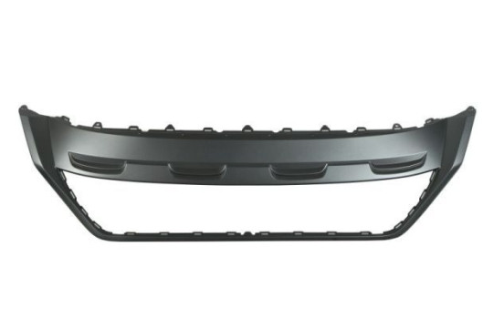 Decorative/protection panel, bumper