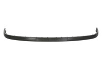 Decorative/protection panel, bumper