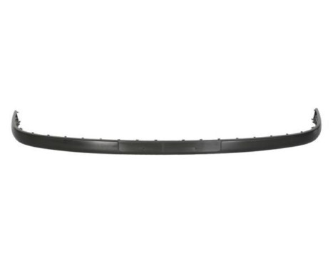 Decorative/protection panel, bumper