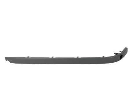 Decorative/protection panel, bumper