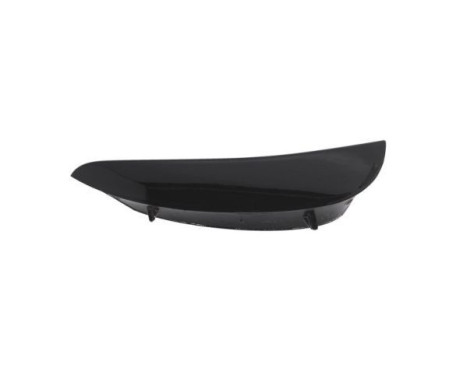 Decorative/protection panel, bumper