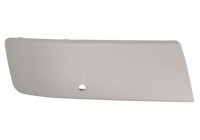 Decorative/protection panel, bumper