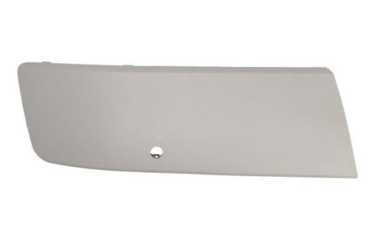 Decorative/protection panel, bumper