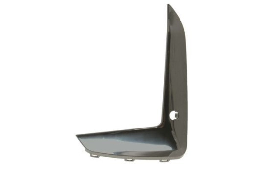 Decorative/protection panel, bumper