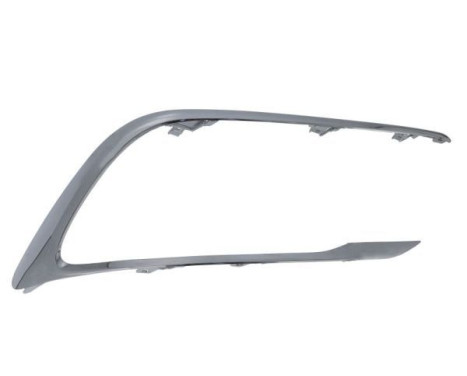 Decorative/protection panel, bumper