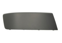 Decorative/protection panel, bumper