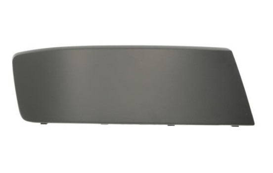 Decorative/protection panel, bumper