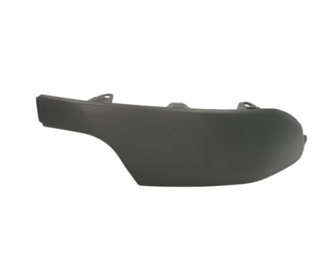 Decorative/protection panel, bumper