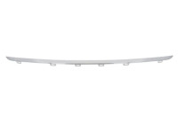 Decorative/protection panel, bumper