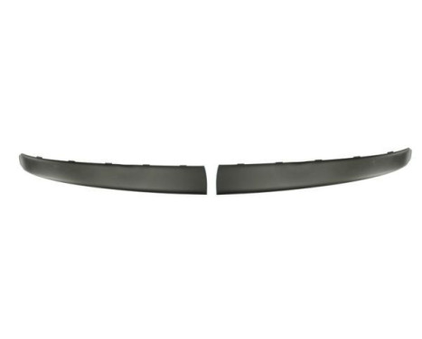 Decorative/protection panel, bumper