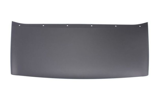 Decorative/protection panel, bumper