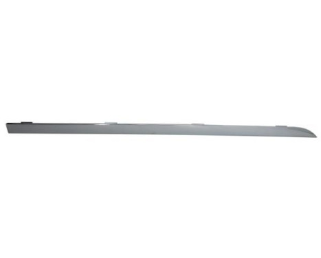 Decorative/protection panel, bumper