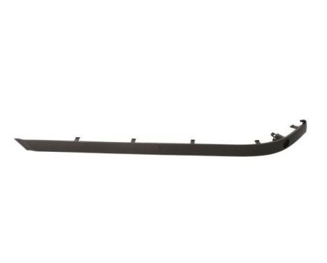 Decorative/protection panel, bumper