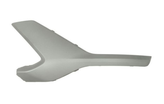 Decorative/protection panel, bumper