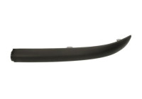 Decorative/protection panel, bumper
