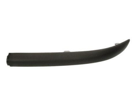 Decorative/protection panel, bumper