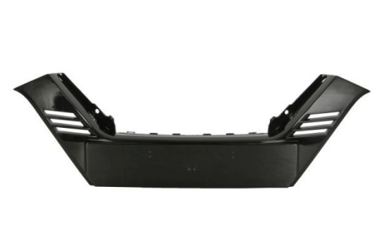 Decorative/protection panel, bumper