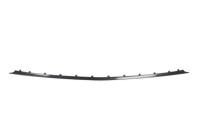 Decorative/protection panel, bumper