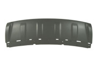Decorative/protection panel, bumper