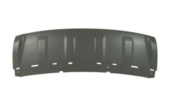 Decorative/protection panel, bumper