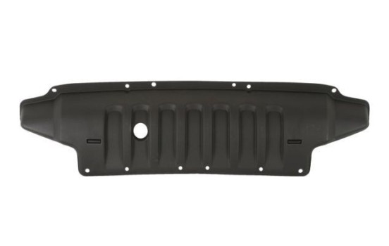 Decorative/protection panel, bumper