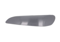 Decorative/protection panel, bumper