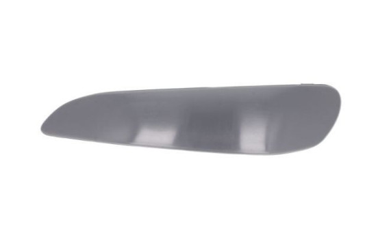 Decorative/protection panel, bumper