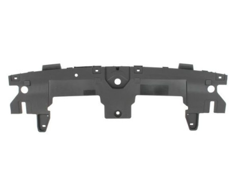 Decorative/protection panel, bumper