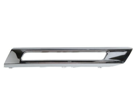Decorative/protection panel, bumper