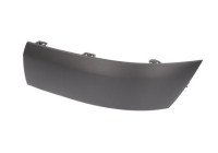 Decorative/protection panel, bumper