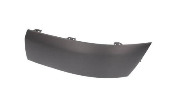 Decorative/protection panel, bumper