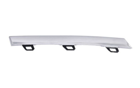 Decorative/protection panel, bumper