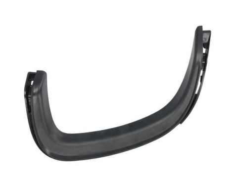 Decorative/protection panel, bumper