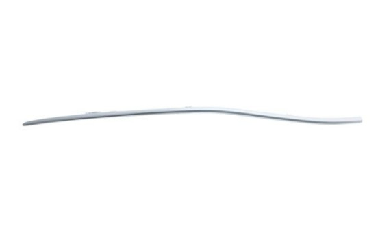 Decorative/protection panel, bumper