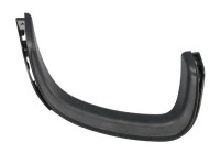 Decorative/protection panel, bumper